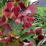 Lejlighed Kirchmatte By Interhome