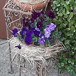Kirchmatte By Interhome Lejlighed Schangnau