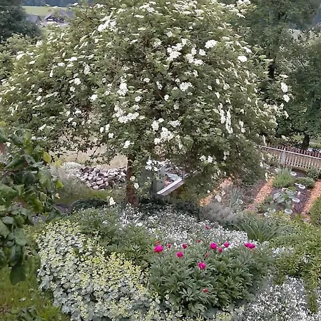 Kirchmatte By Interhome Schangnau