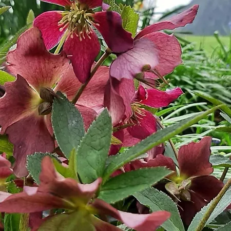 Appartement Kirchmatte By Interhome