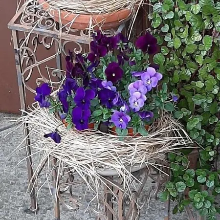 Kirchmatte By Interhome Appartement Schangnau