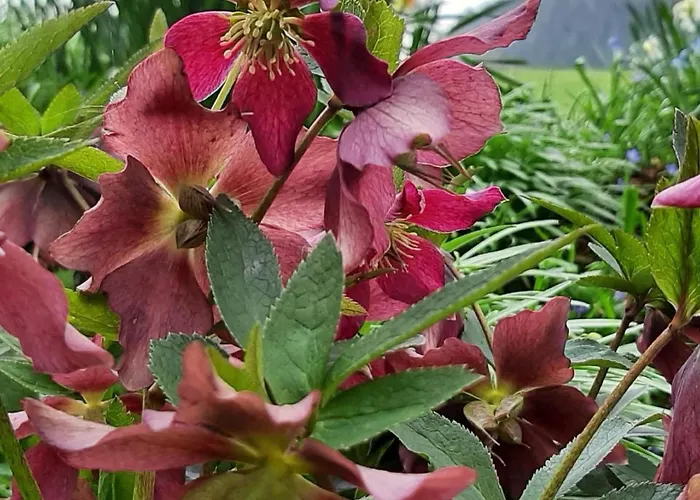 Apartamento Kirchmatte By Interhome