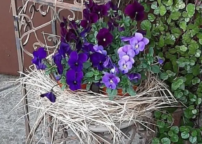 Kirchmatte By Interhome Apartamento Schangnau